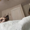 notcat064